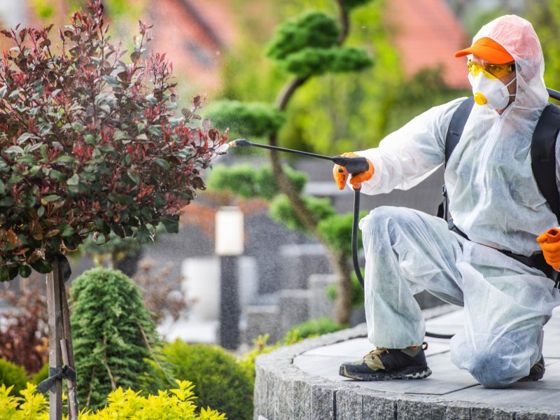 Kilimli Haşere İlaçlama